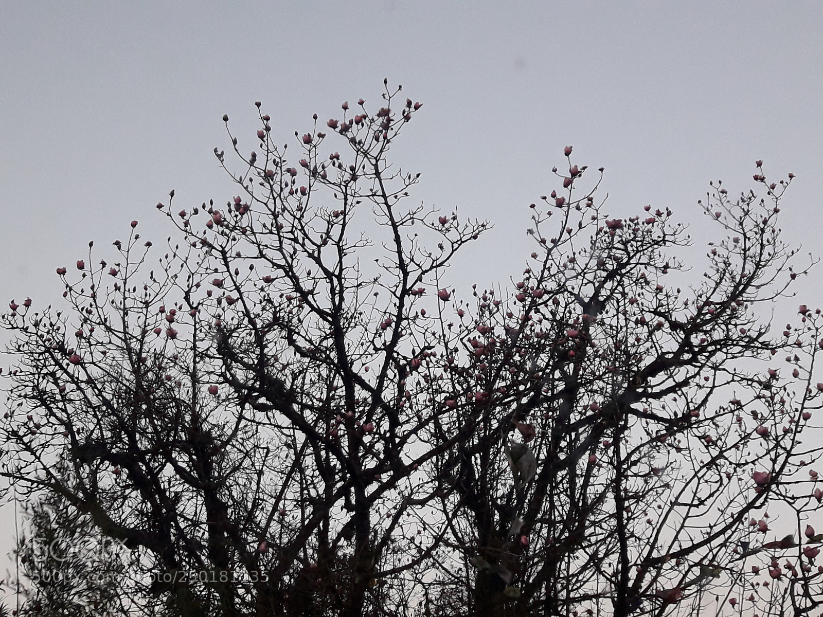 Samsung Galaxy J7 Neo sample photo. Untitled photography