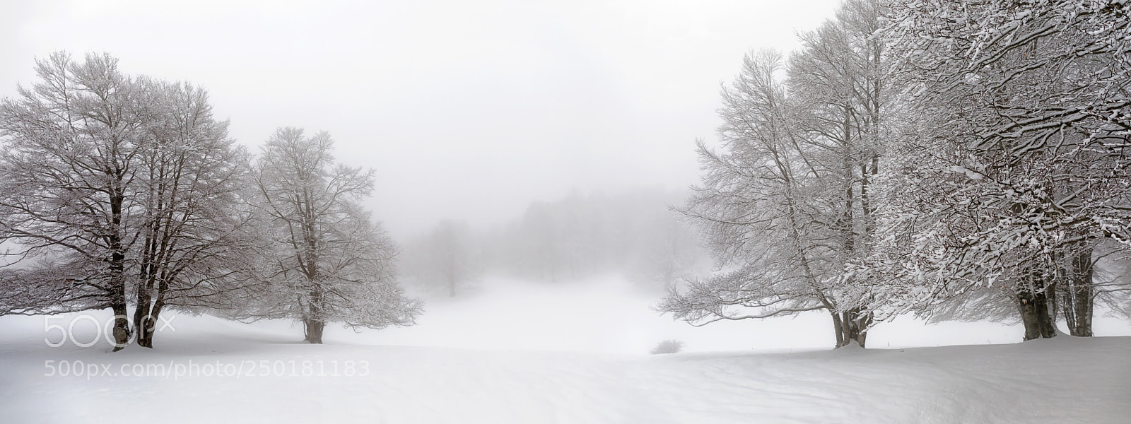 Canon EOS 5D Mark IV sample photo. Winter mountain landscape, path photography