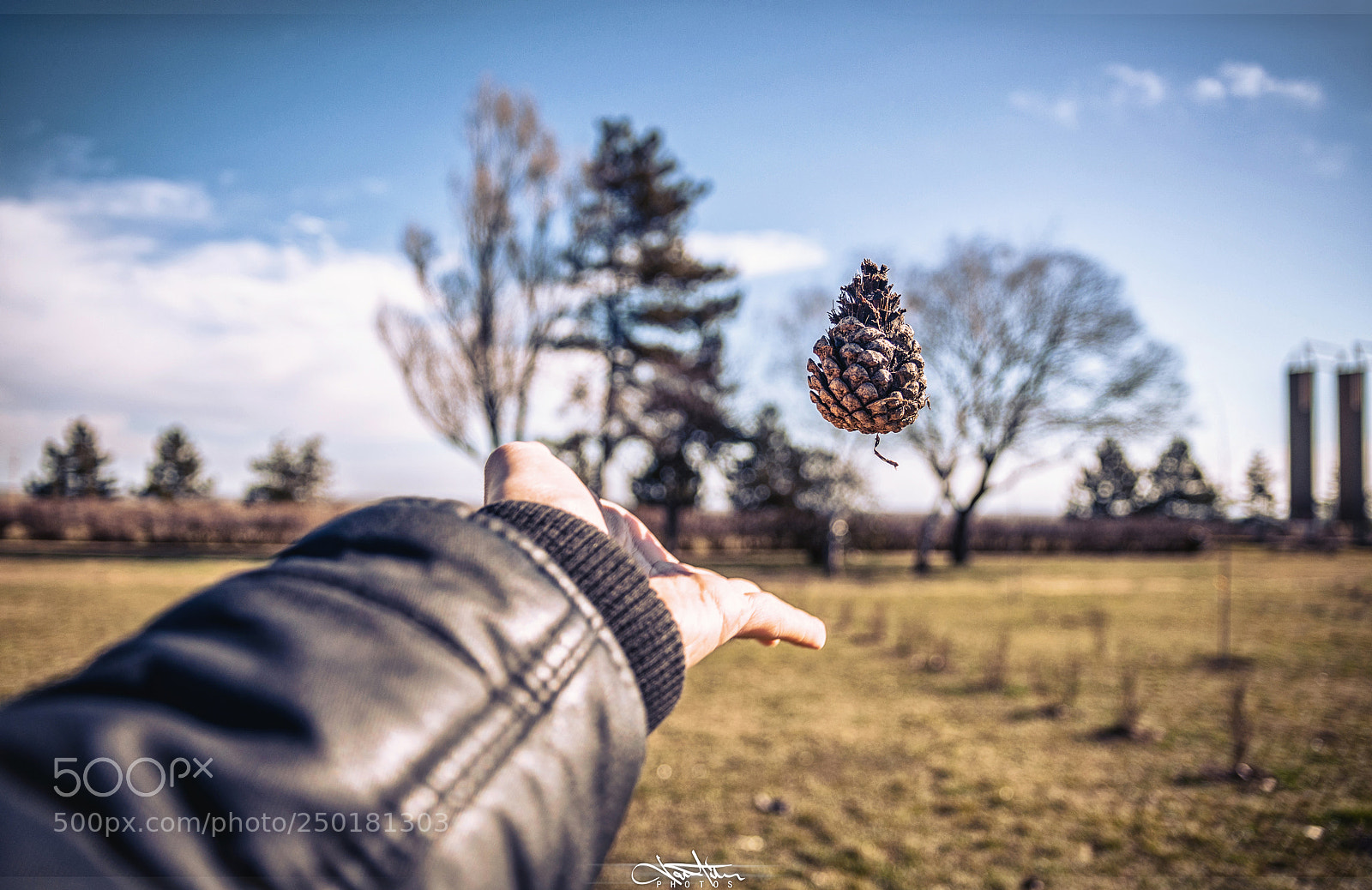 Nikon D5300 sample photo. Pineal photography
