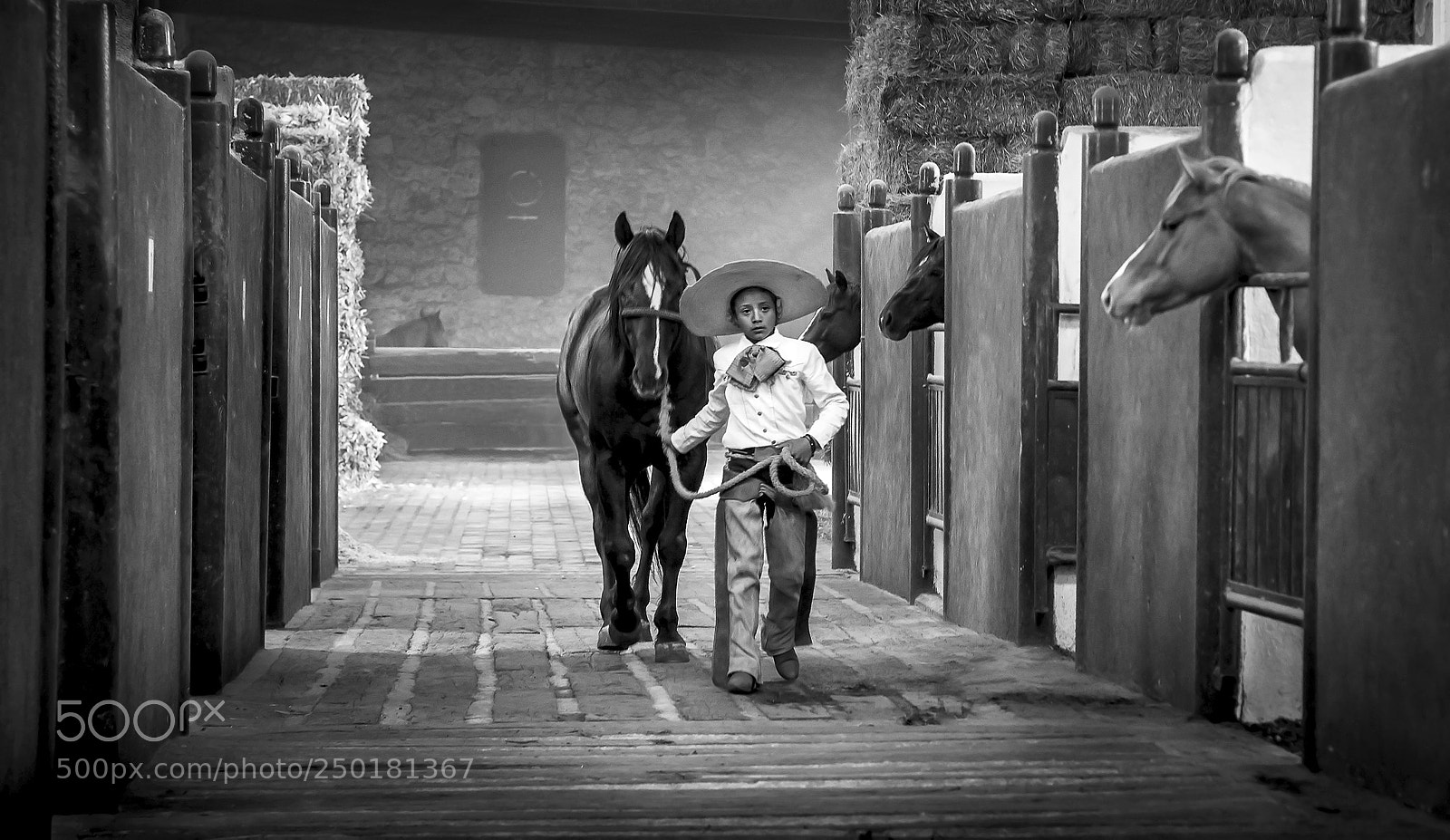 Nikon D810 sample photo. Horseman photography