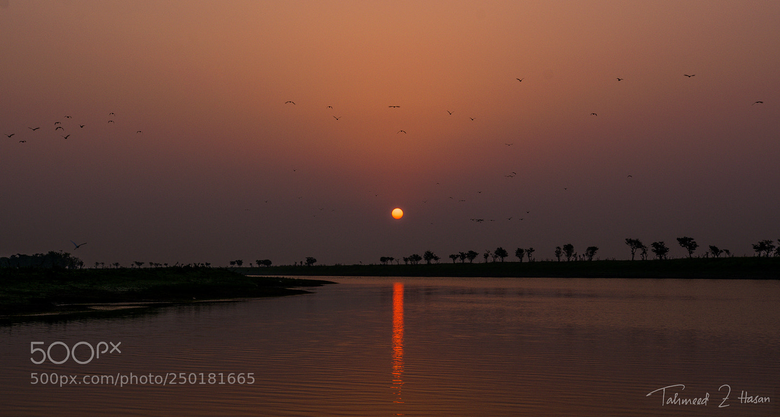Nikon D5300 sample photo. Dusk or dawn? photography