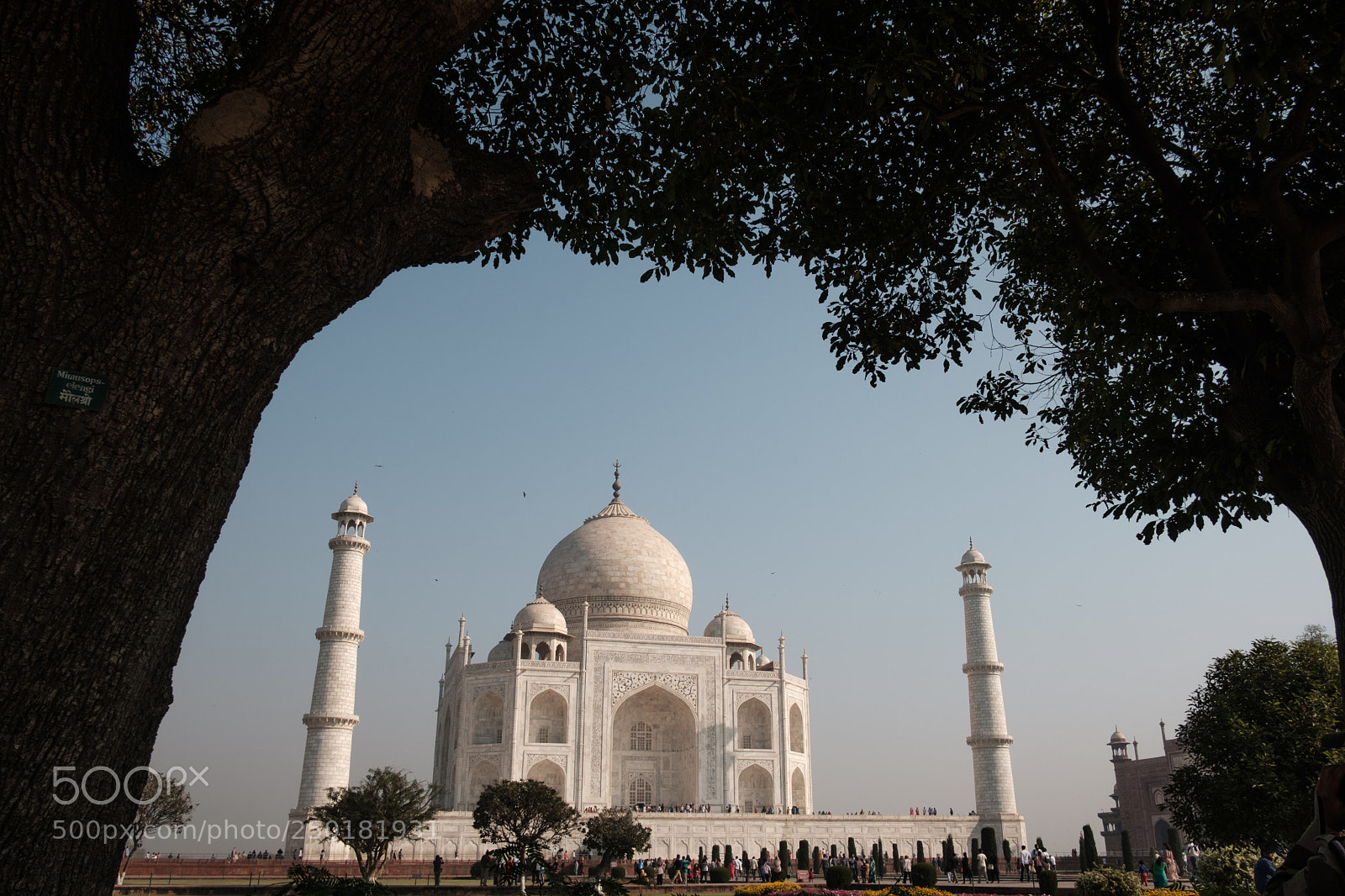 Fujifilm X-Pro2 sample photo. Taj mahal photography