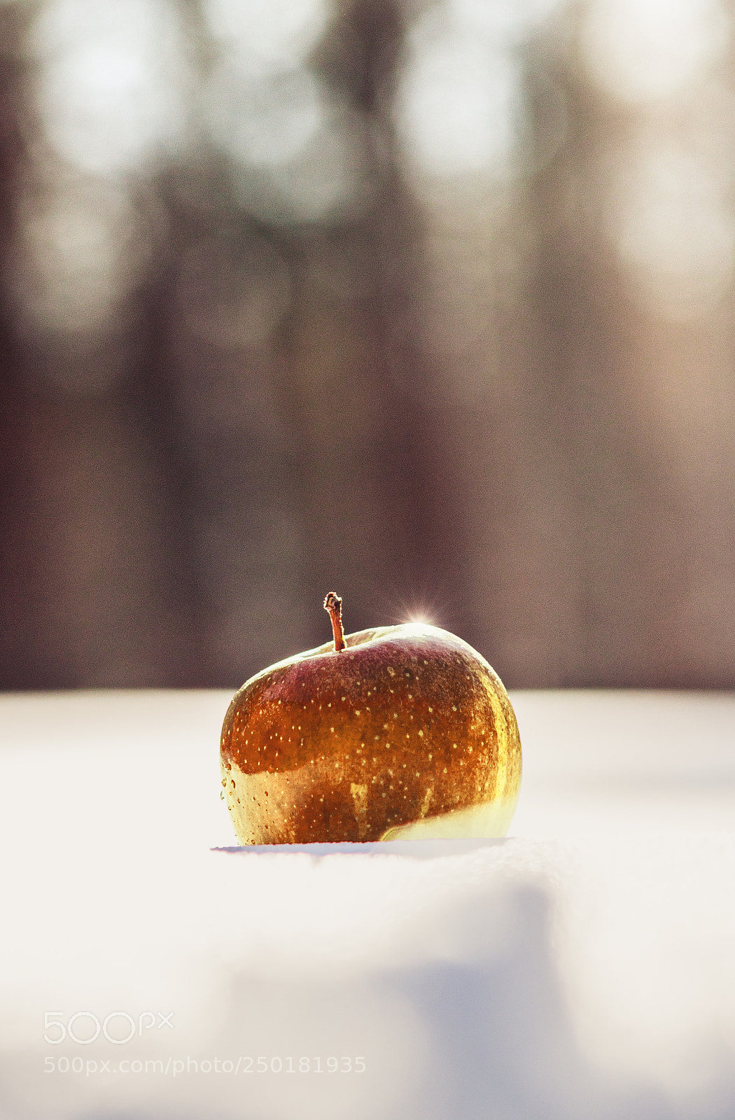 Canon EOS 500D (EOS Rebel T1i / EOS Kiss X3) sample photo. Golden apple photography