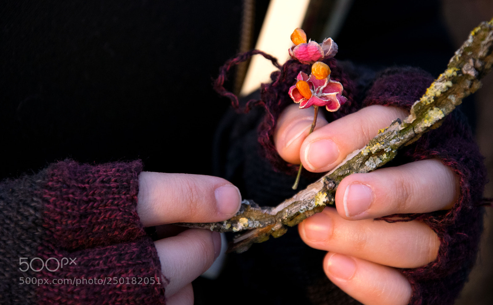 Nikon D3300 sample photo. Flower photography
