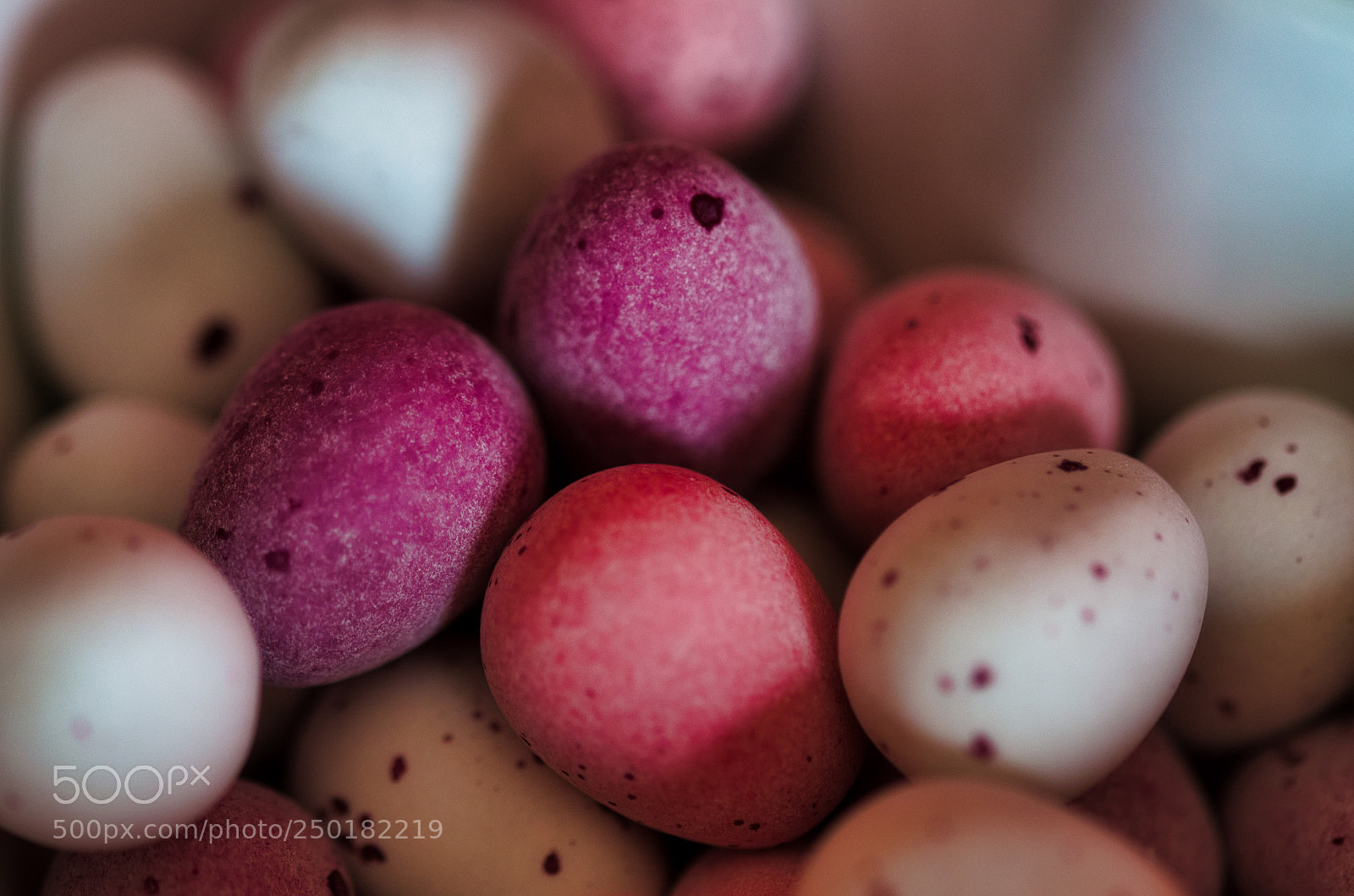 Nikon D7000 sample photo. Mini eggs photography