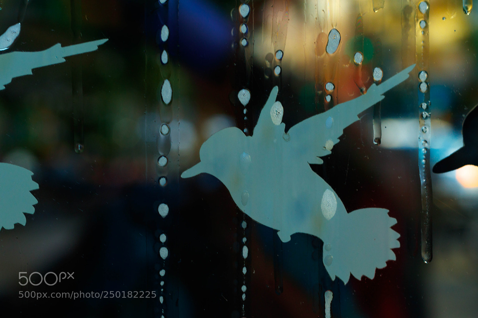Canon EOS 80D sample photo. Vitrine cleaner photography