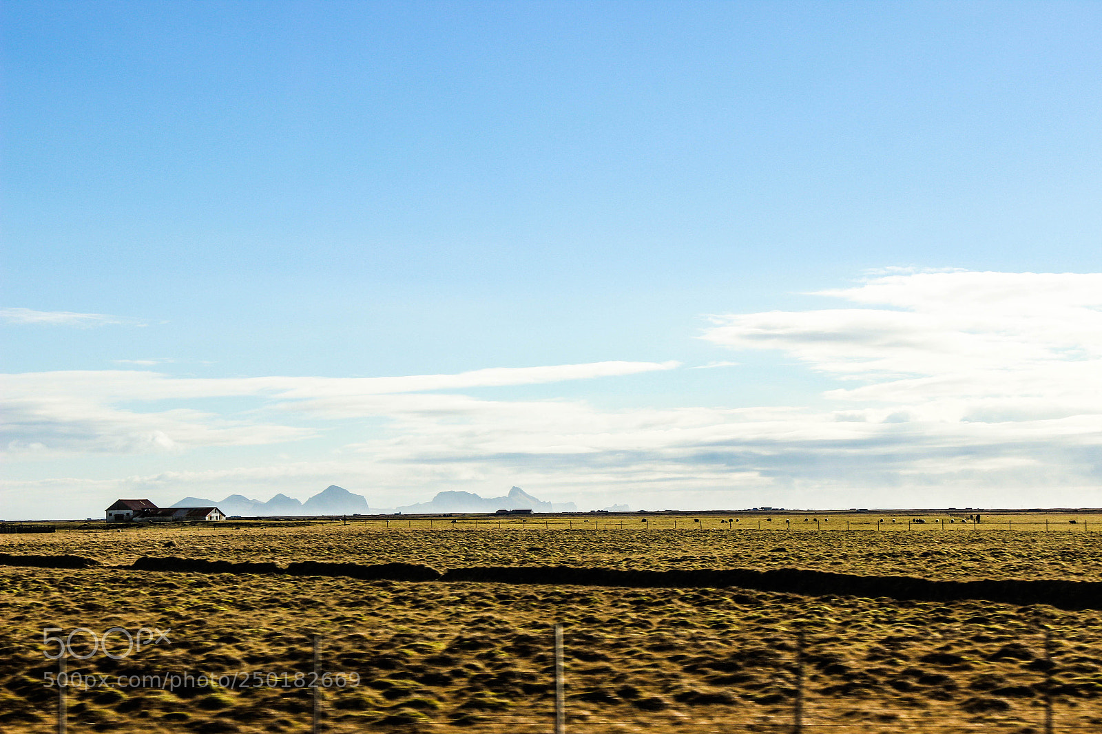 Canon EOS 600D (Rebel EOS T3i / EOS Kiss X5) sample photo. Lonely farm photography