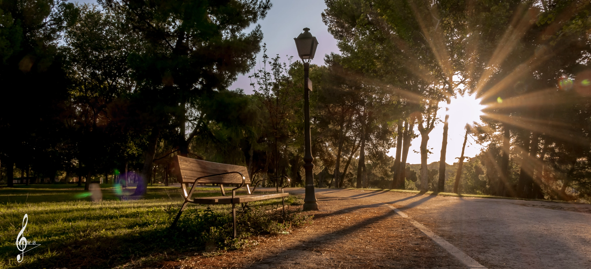 Sony Cyber-shot DSC-RX10 II sample photo. The lonely bench photography