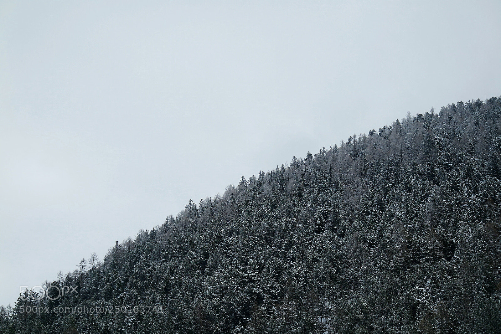 Samsung NX3000 sample photo. Withe lines photography