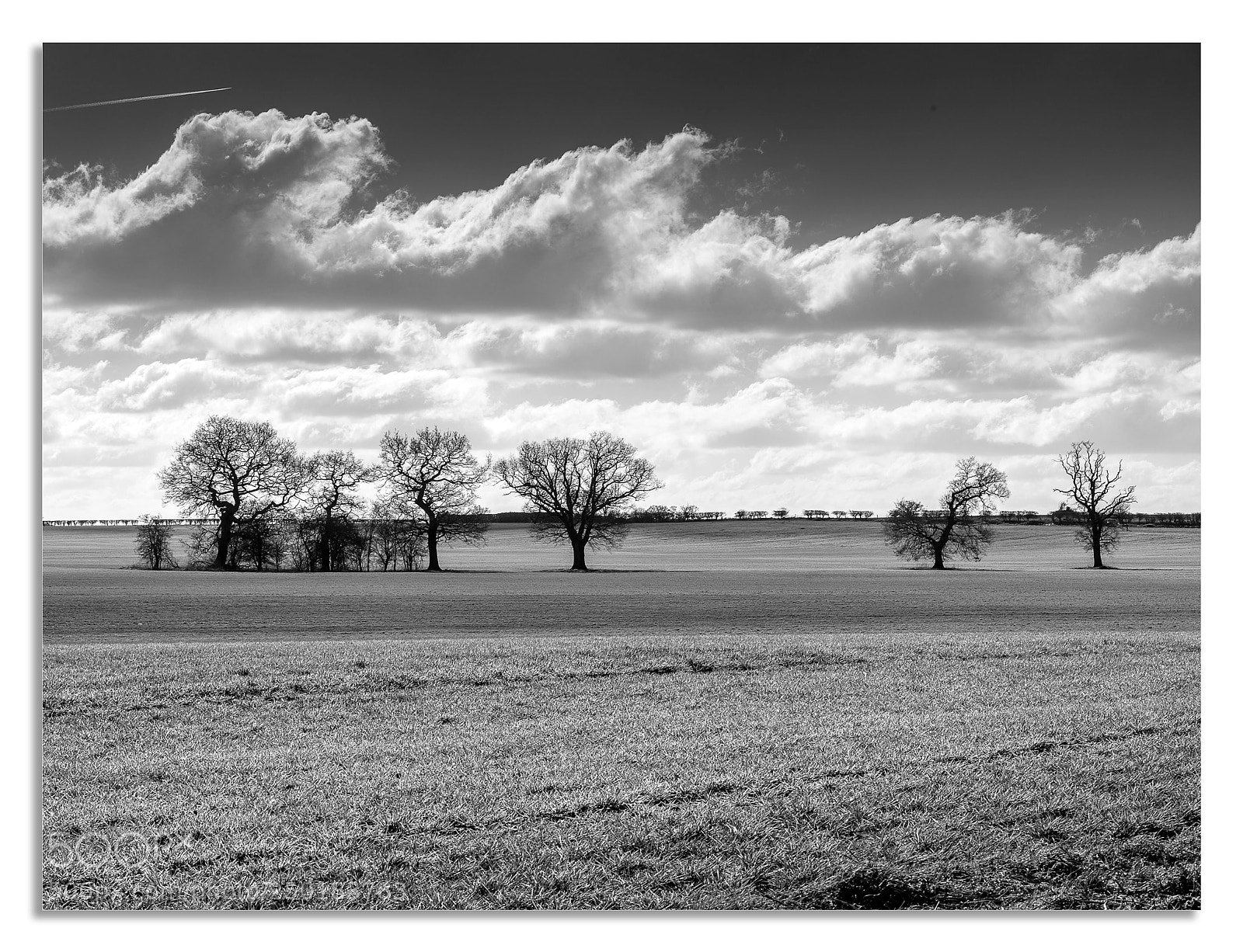 Hasselblad X1D-50c sample photo. Black and white any photography