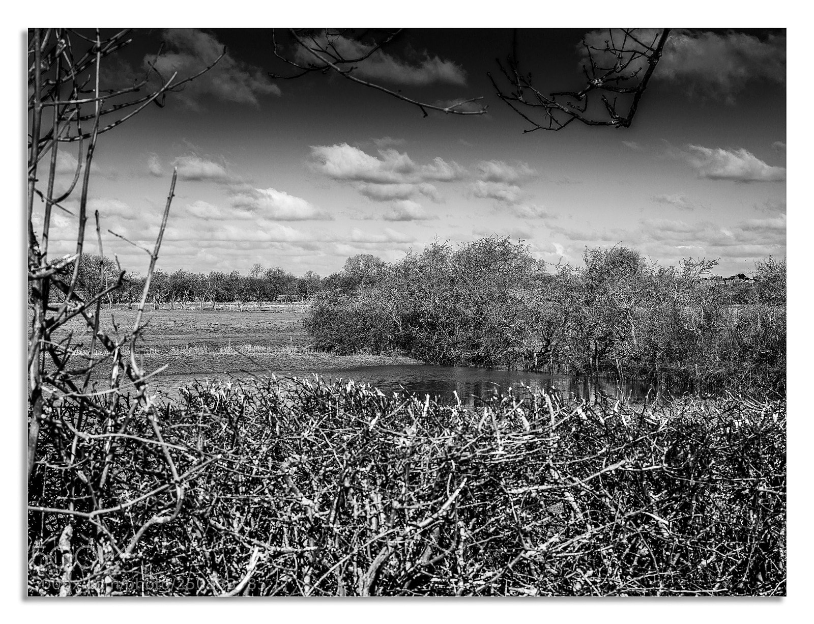 Hasselblad X1D-50c sample photo. Flooded feild in north photography