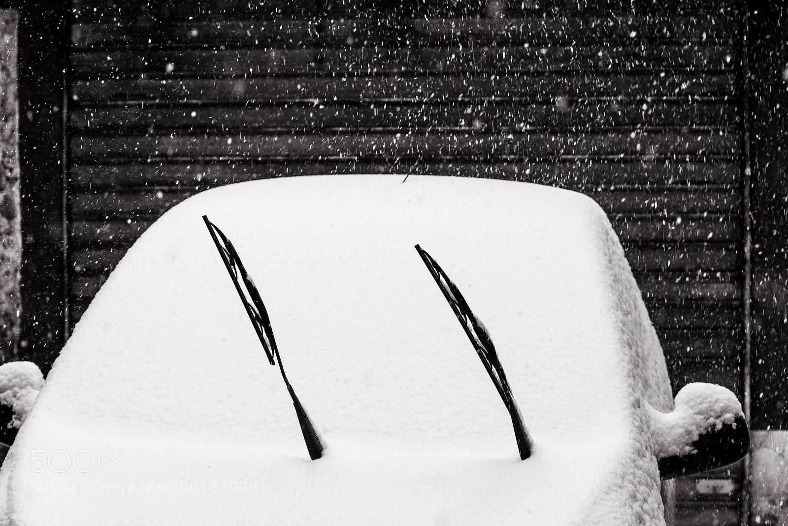 Nikon D810 sample photo. Snow performance photography