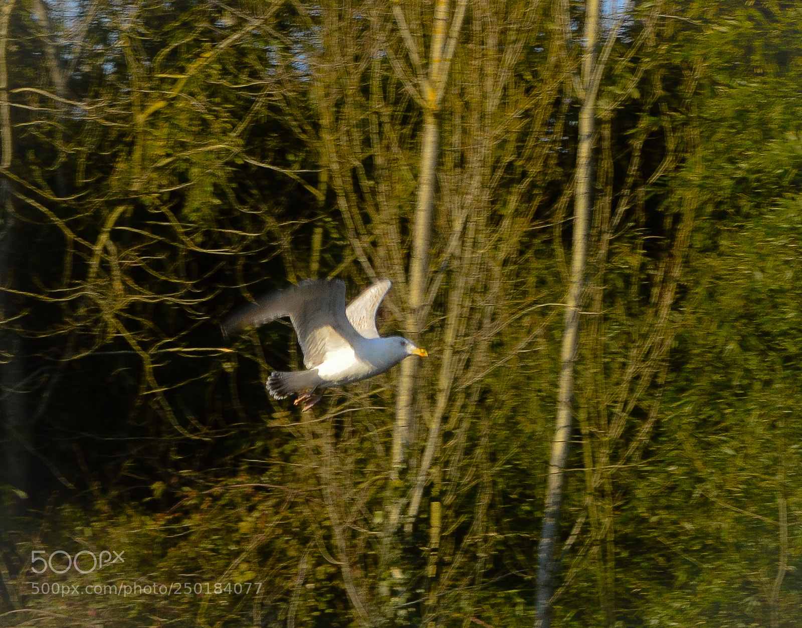 Nikon D3200 sample photo. During the flight photography