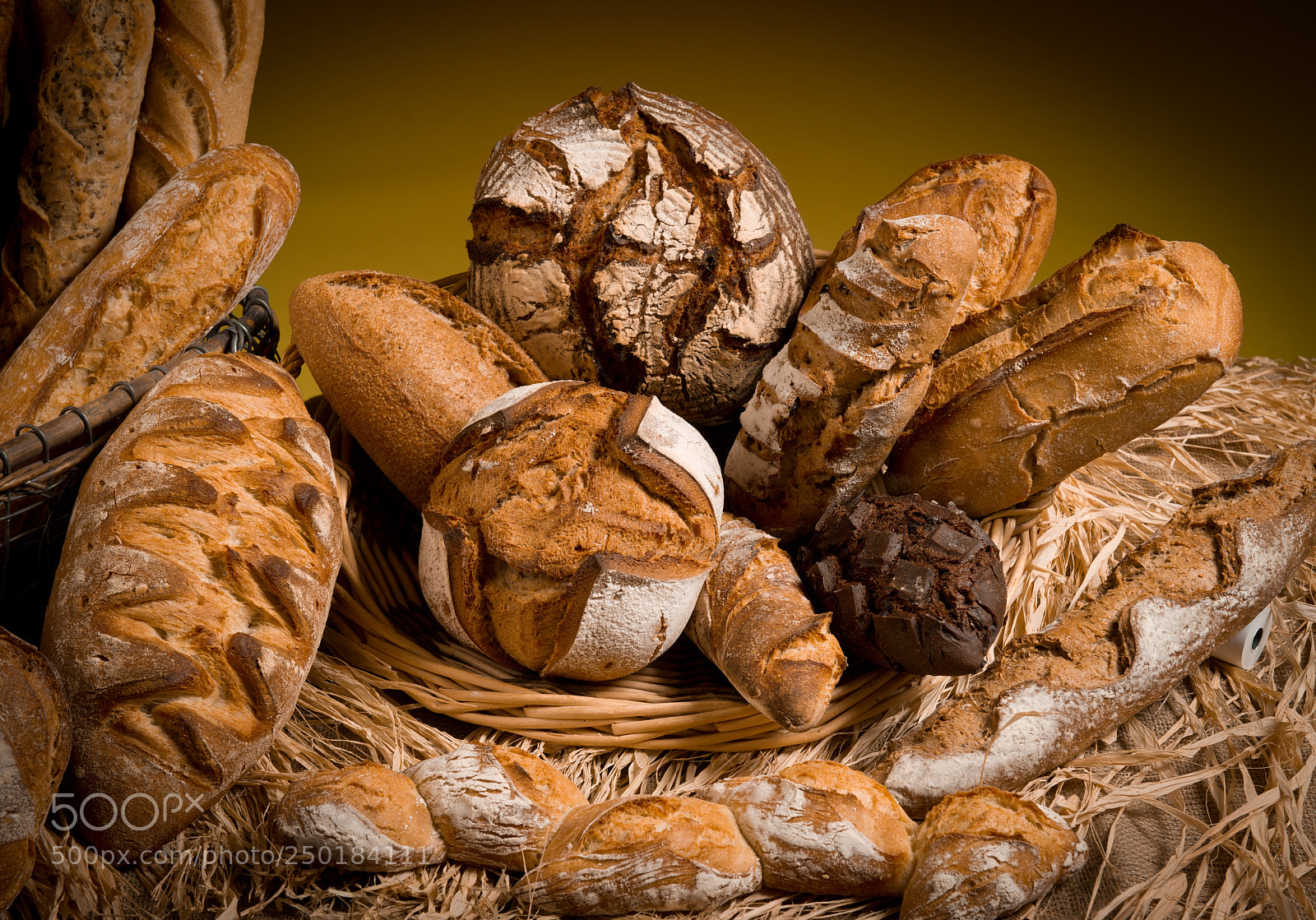 Nikon D3S sample photo. 13.jpg photography