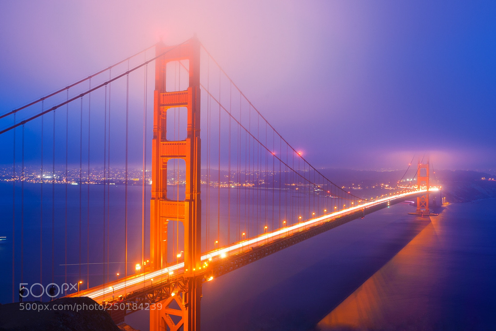 Nikon D610 sample photo. Golden gate blue hour photography