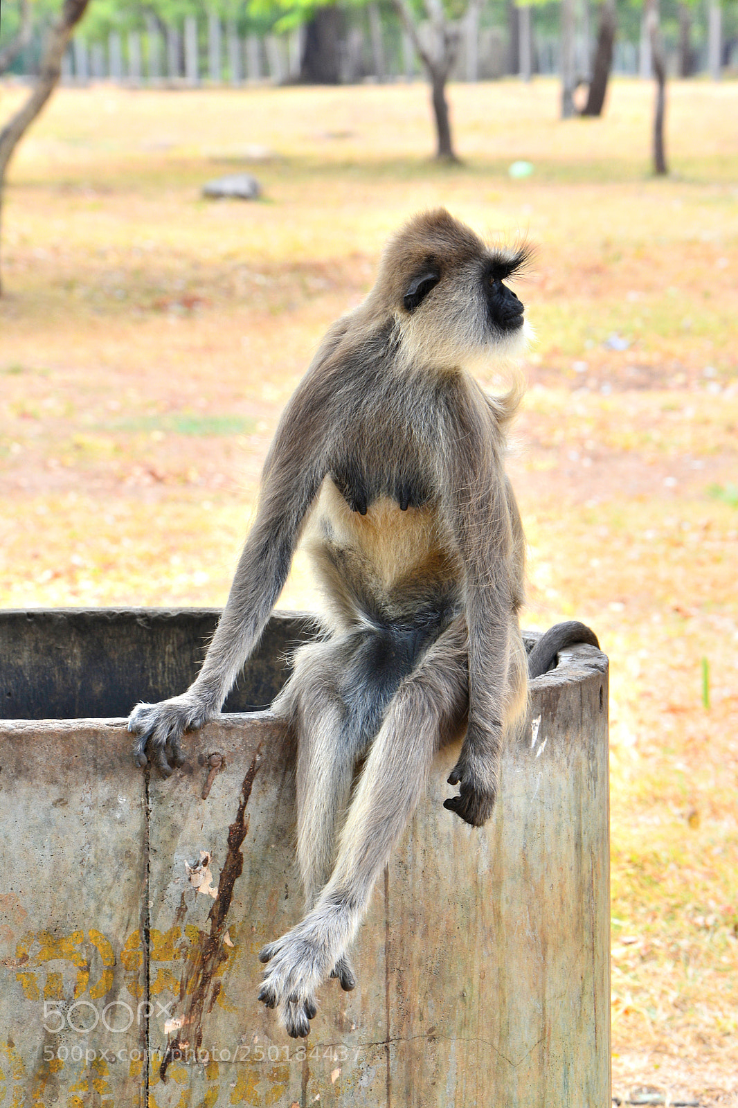 Nikon D5200 sample photo. Human photography