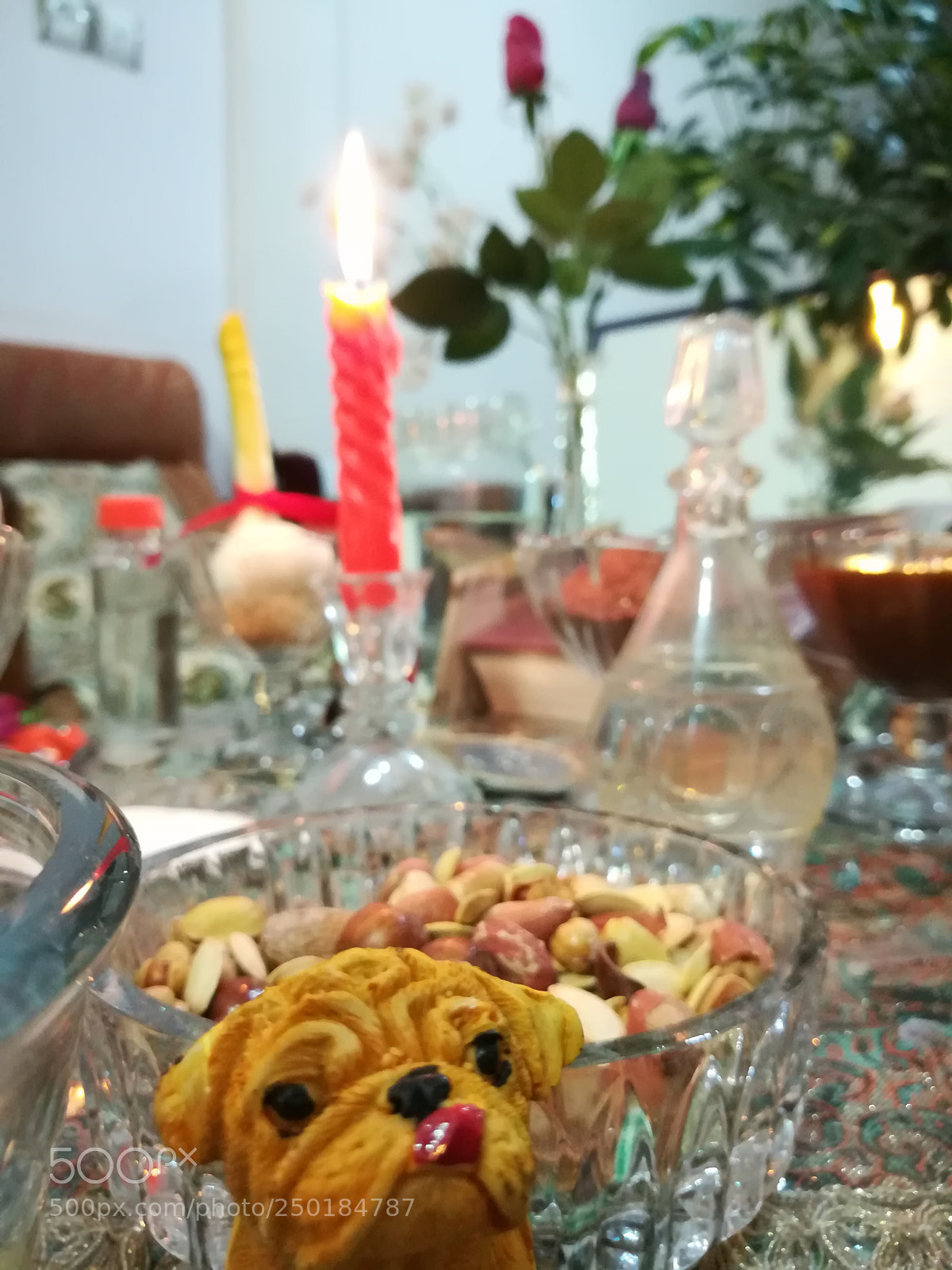 HUAWEI honor 6x sample photo. Nowruz photography