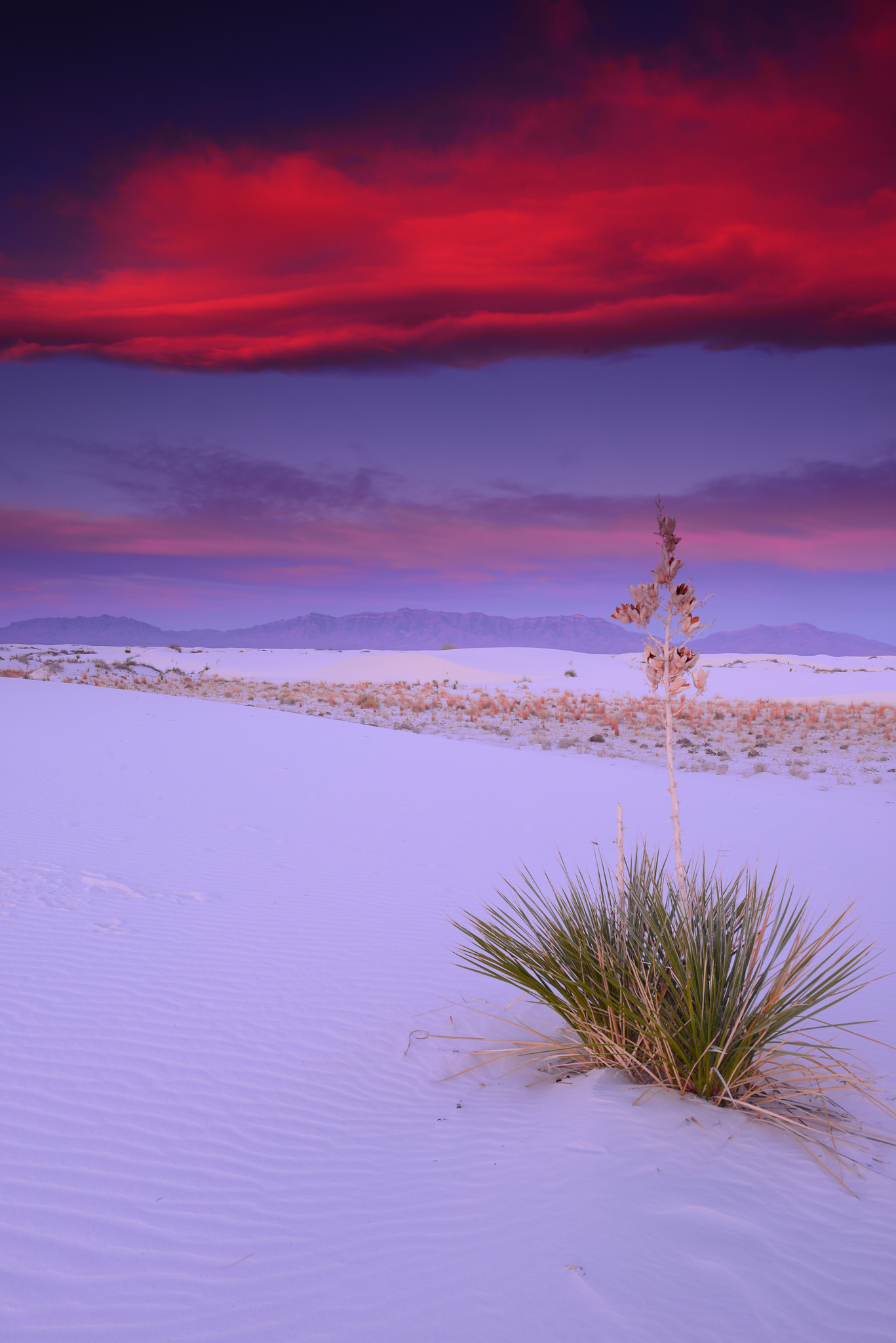 Nikon AF-S Nikkor 24-70mm F2.8G ED sample photo. Pink sky at white sands photography