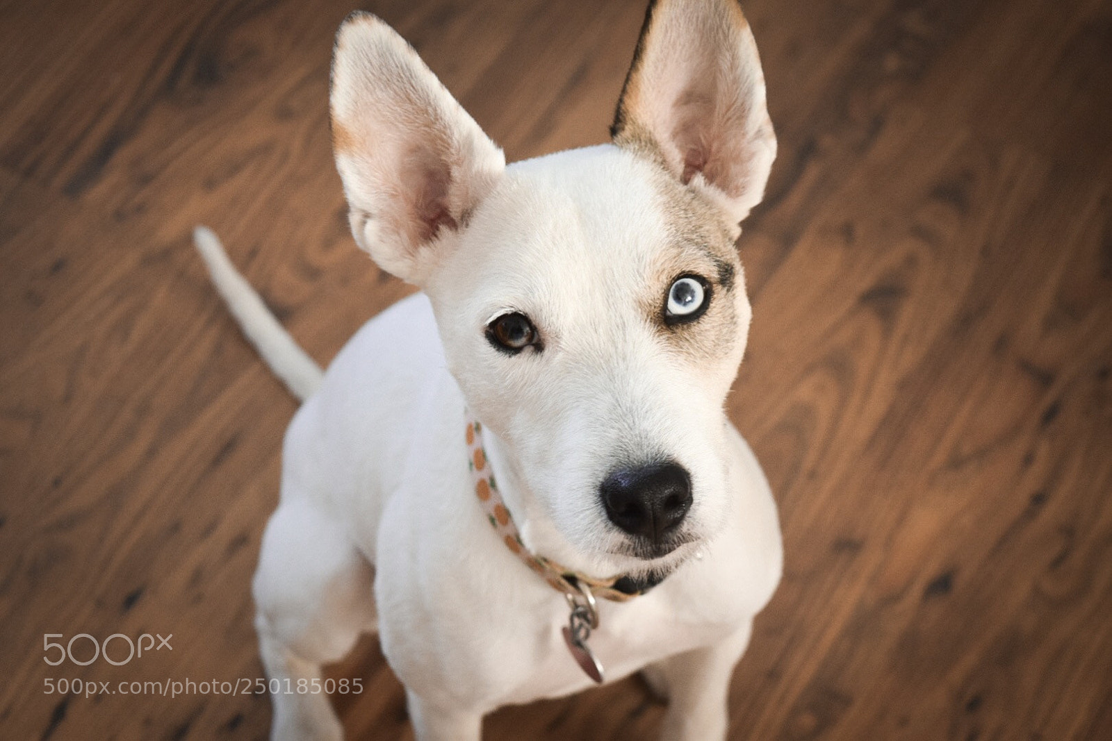 Nikon D5300 sample photo. Story in the eyes photography