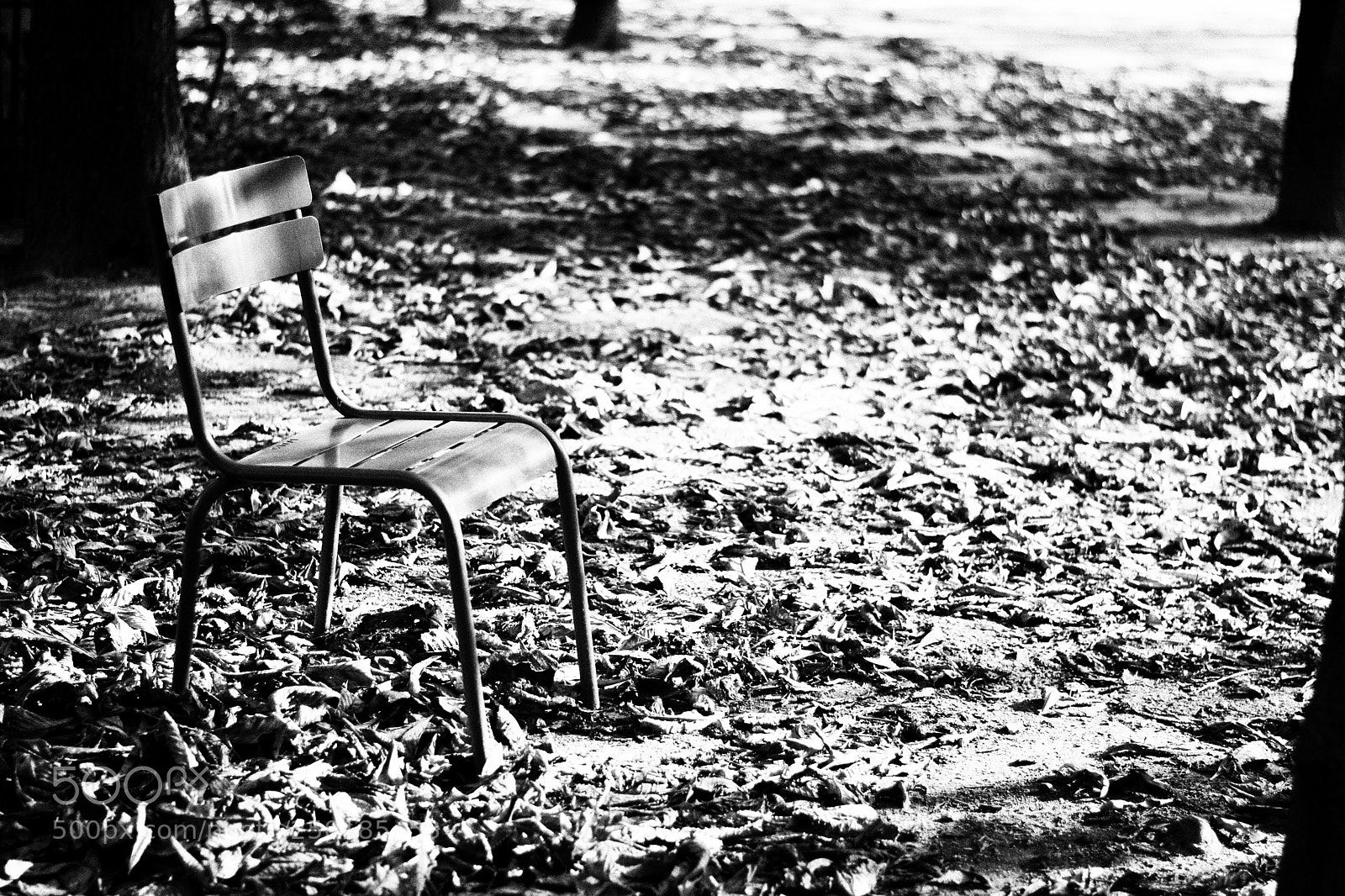 Nikon D3100 sample photo. Untitled photography