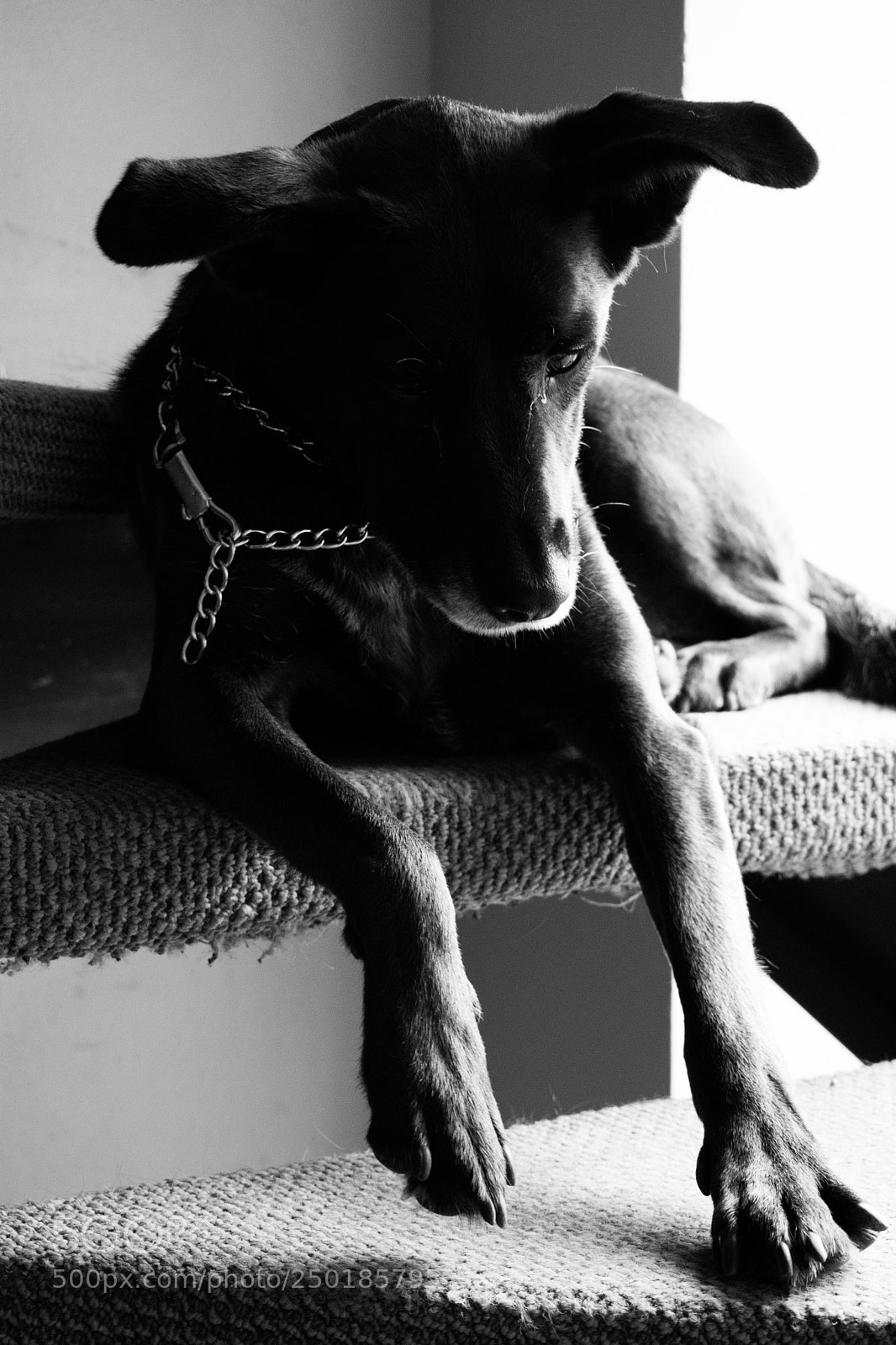 Nikon D3400 sample photo. Mia photography