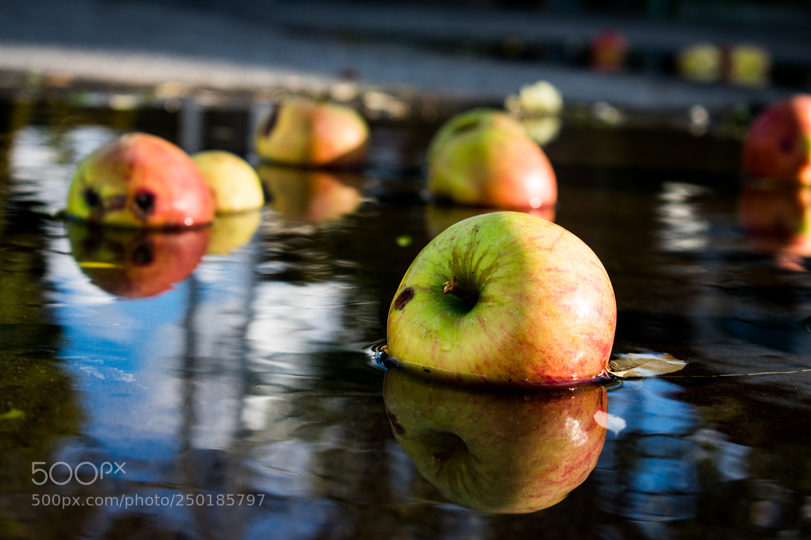 Nikon D3400 sample photo. A reflection of fall photography