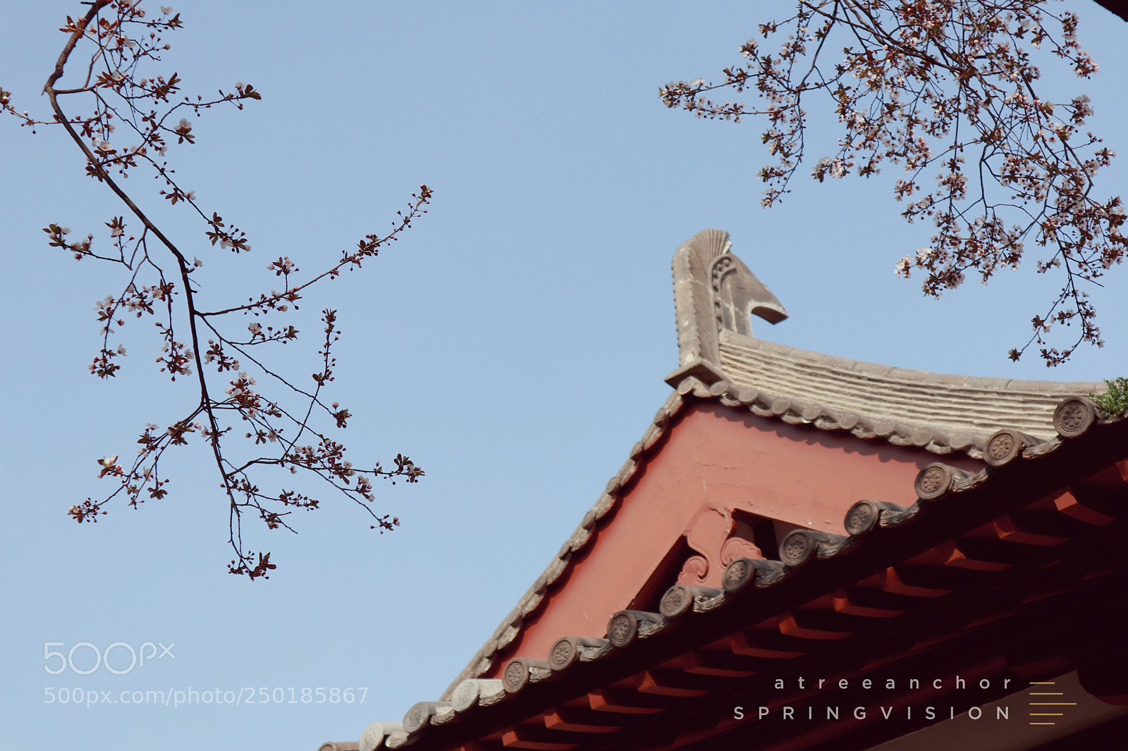 Canon EOS M5 sample photo. 寺庙外的花 photography