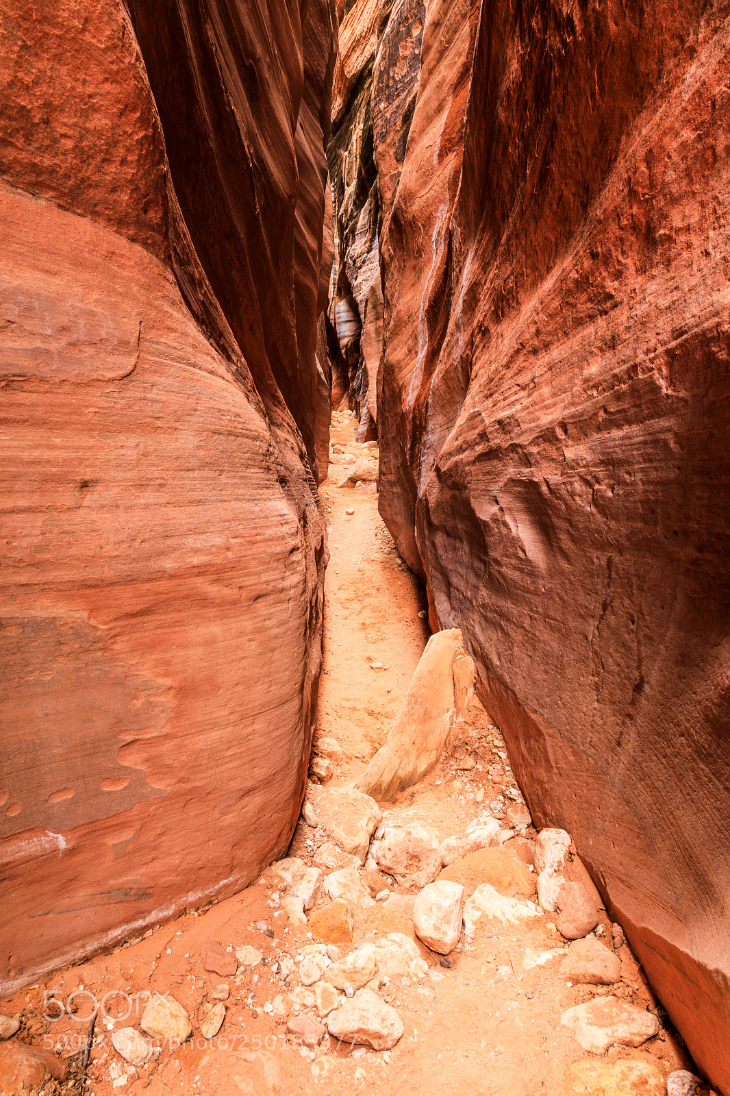 Canon EOS 5D Mark IV sample photo. Narrow path photography