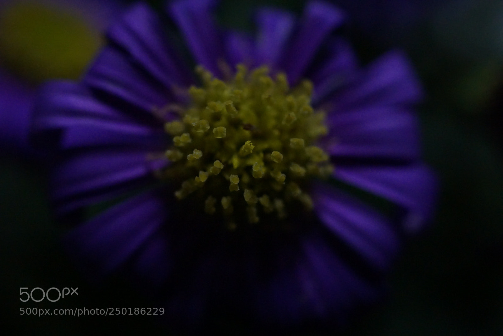 Sony a6000 sample photo. Untitled photography