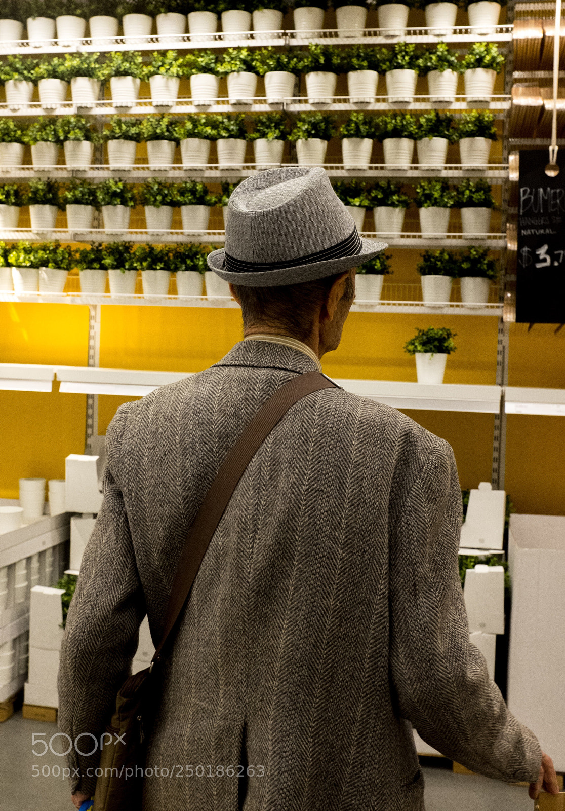 Fujifilm X100S sample photo. Dapper photography
