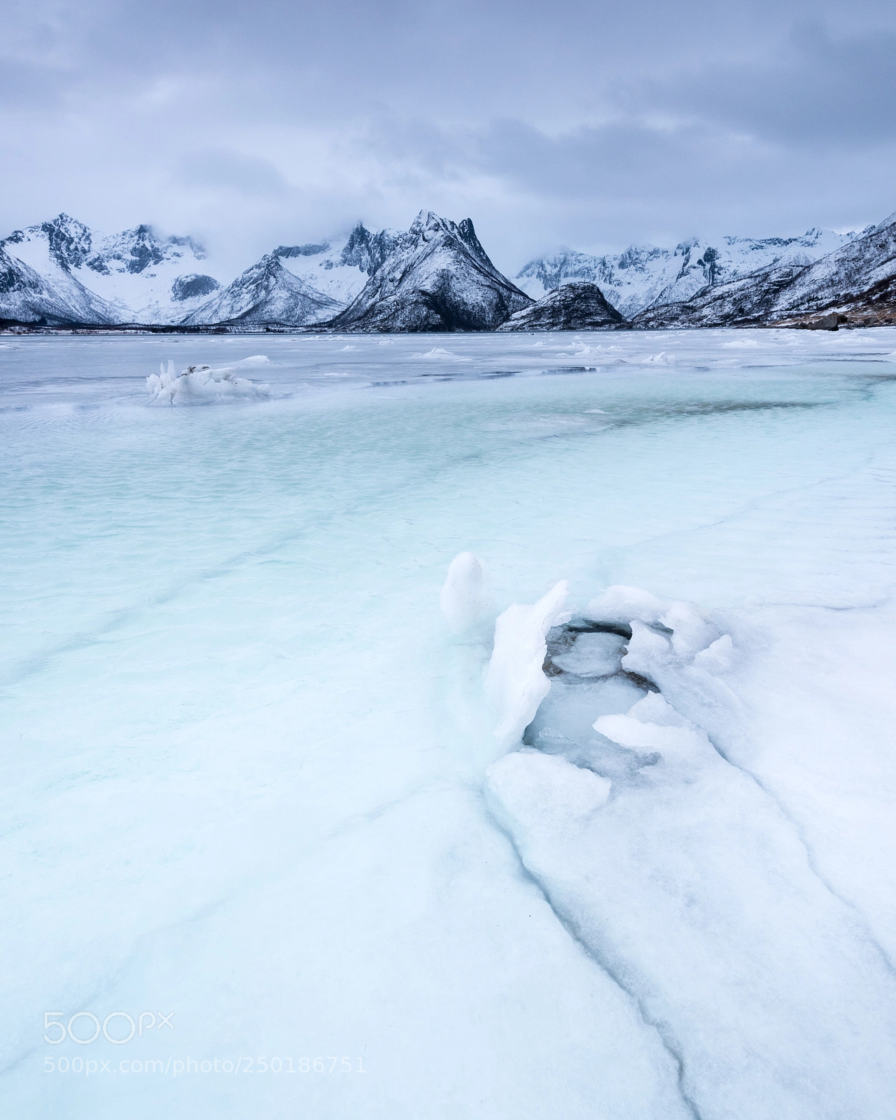 Nikon D810 sample photo. Frozen world photography