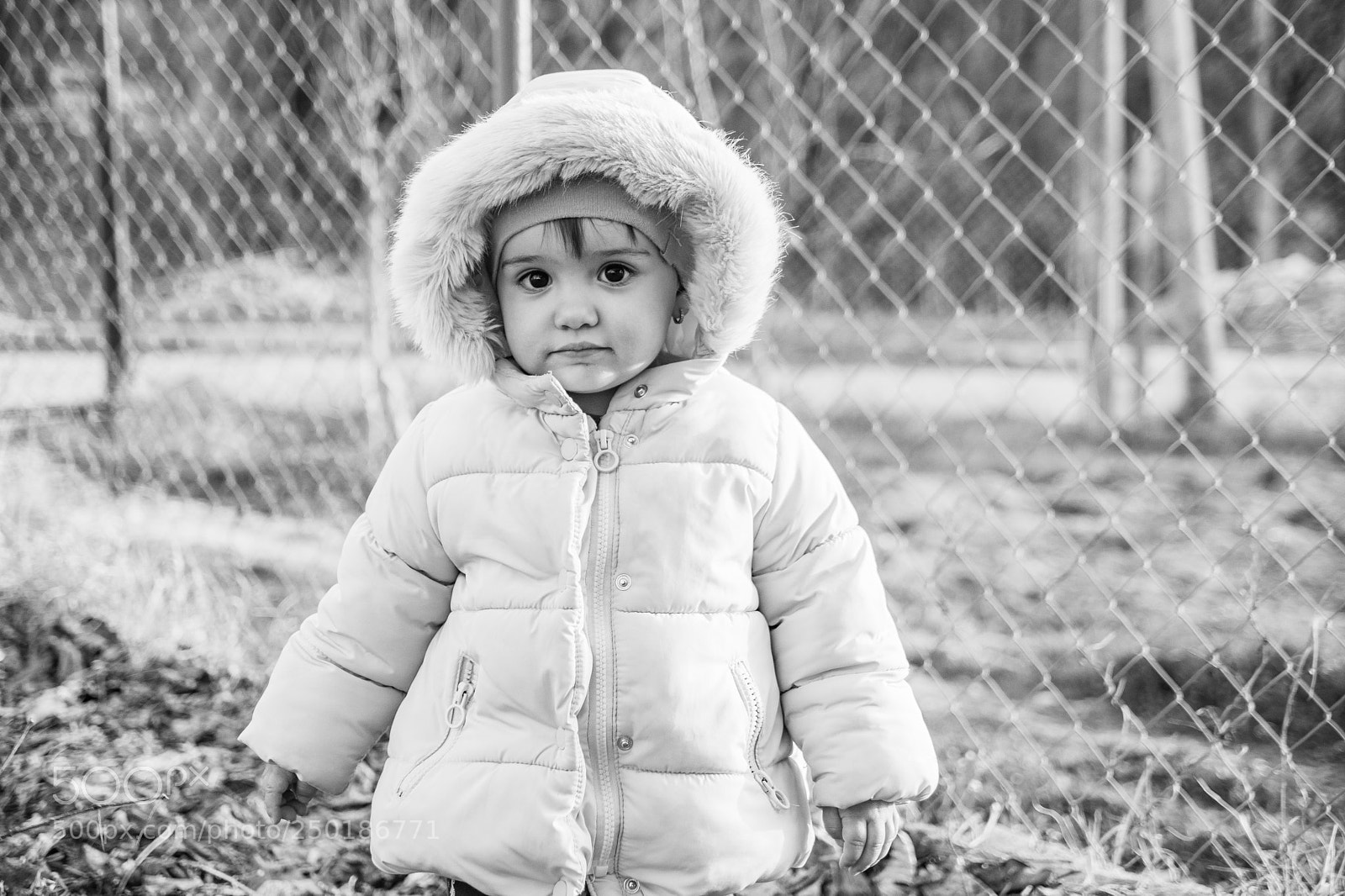 Sony SLT-A58 sample photo. Ellie photography