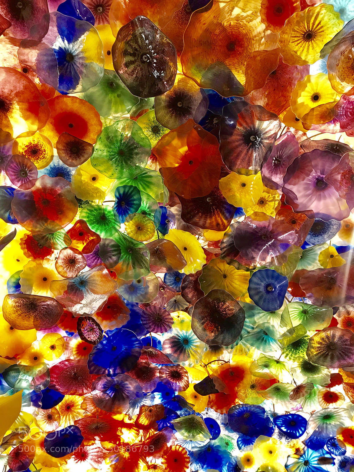 Apple iPhone 7 Plus sample photo. Bellagio hotel photography