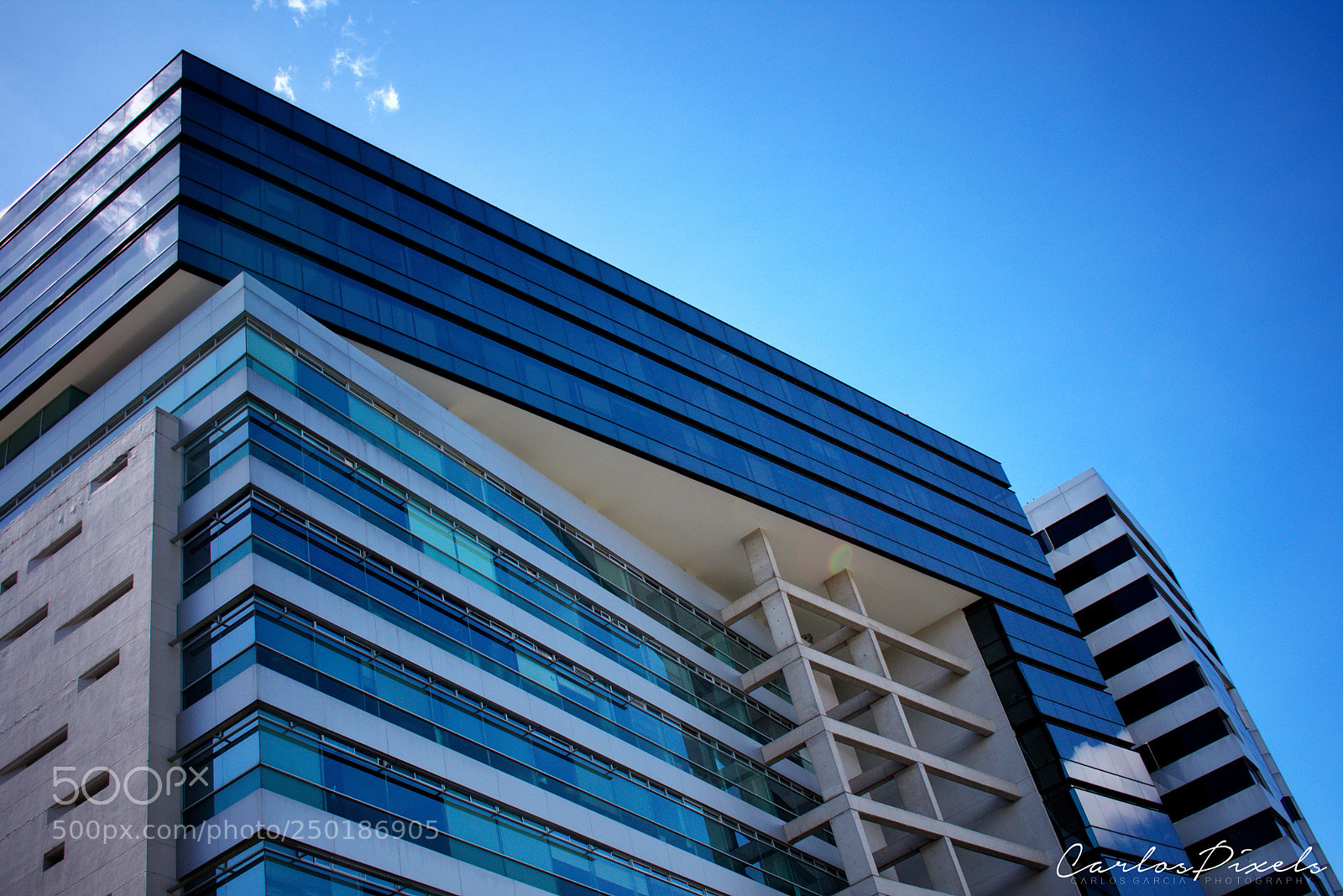 Nikon D3400 sample photo. Blue photography