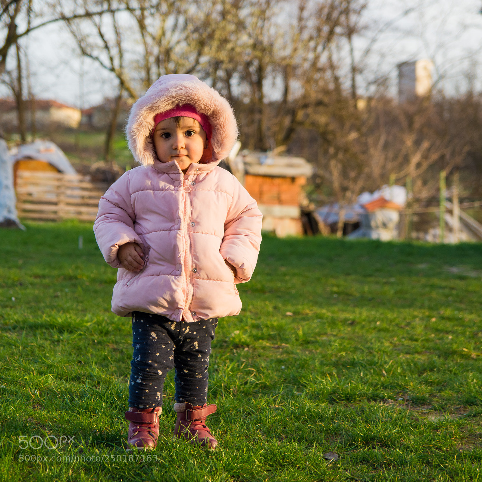 Sony SLT-A58 sample photo. Little sweet ellie photography