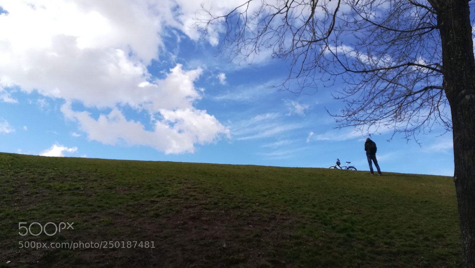 HUAWEI PRA-LX1 sample photo. The long way photography