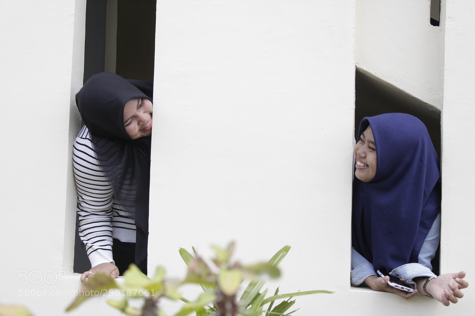 Canon EOS 1300D (EOS Rebel T6 / EOS Kiss X80) sample photo. Whiteaddict photography