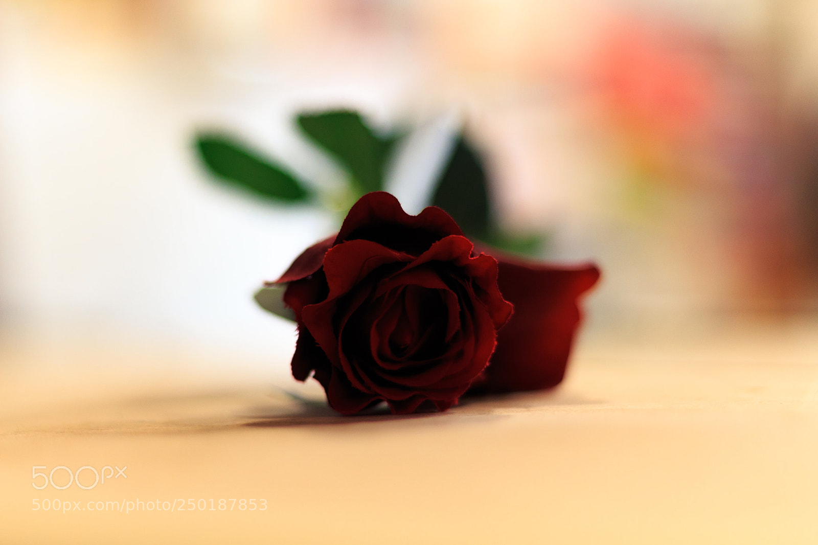 Canon EOS 100D (EOS Rebel SL1 / EOS Kiss X7) sample photo. Happy death photography