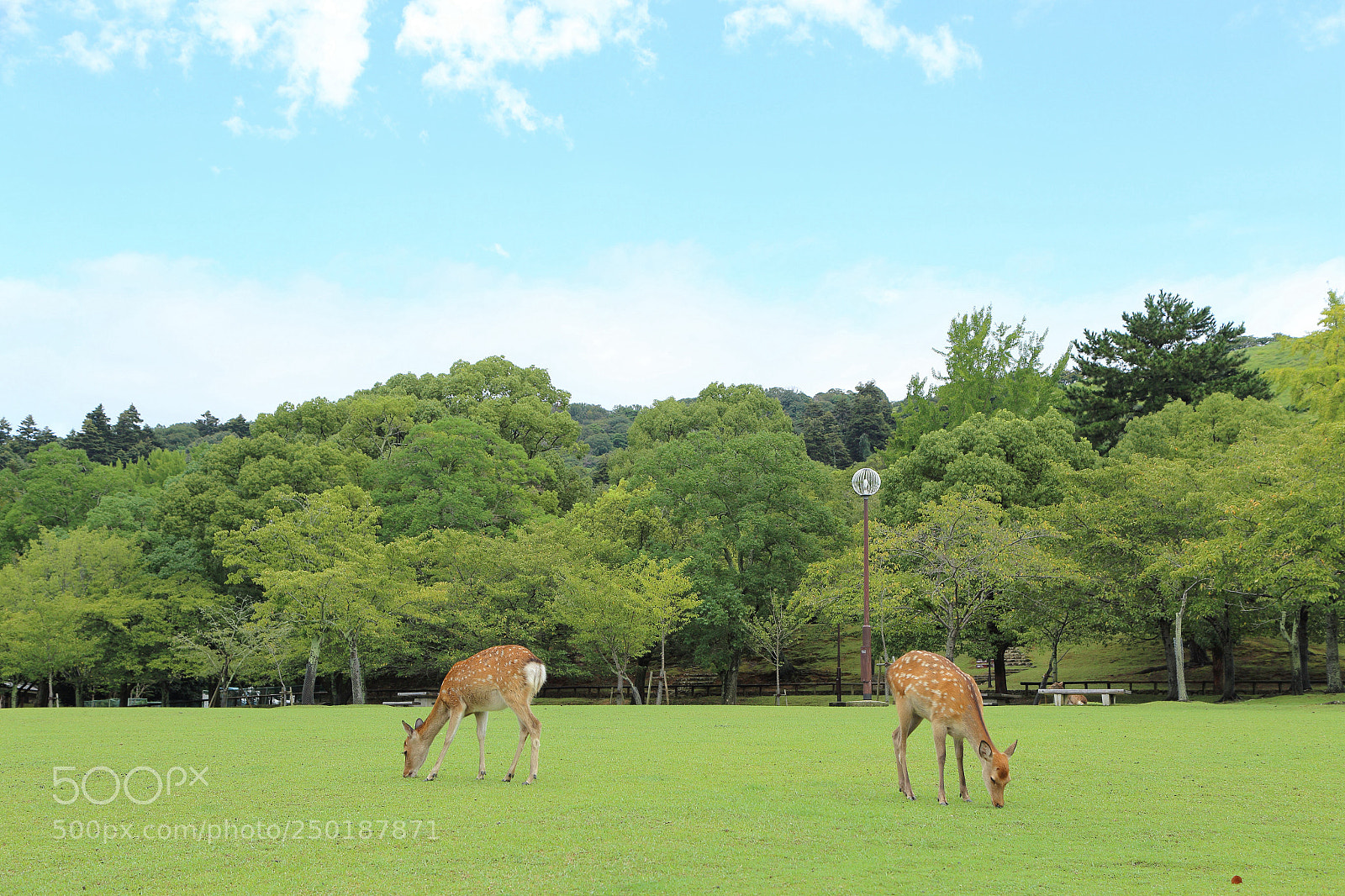 Canon EOS 6D + Canon EF 24-105mm F4L IS USM sample photo. Img photography