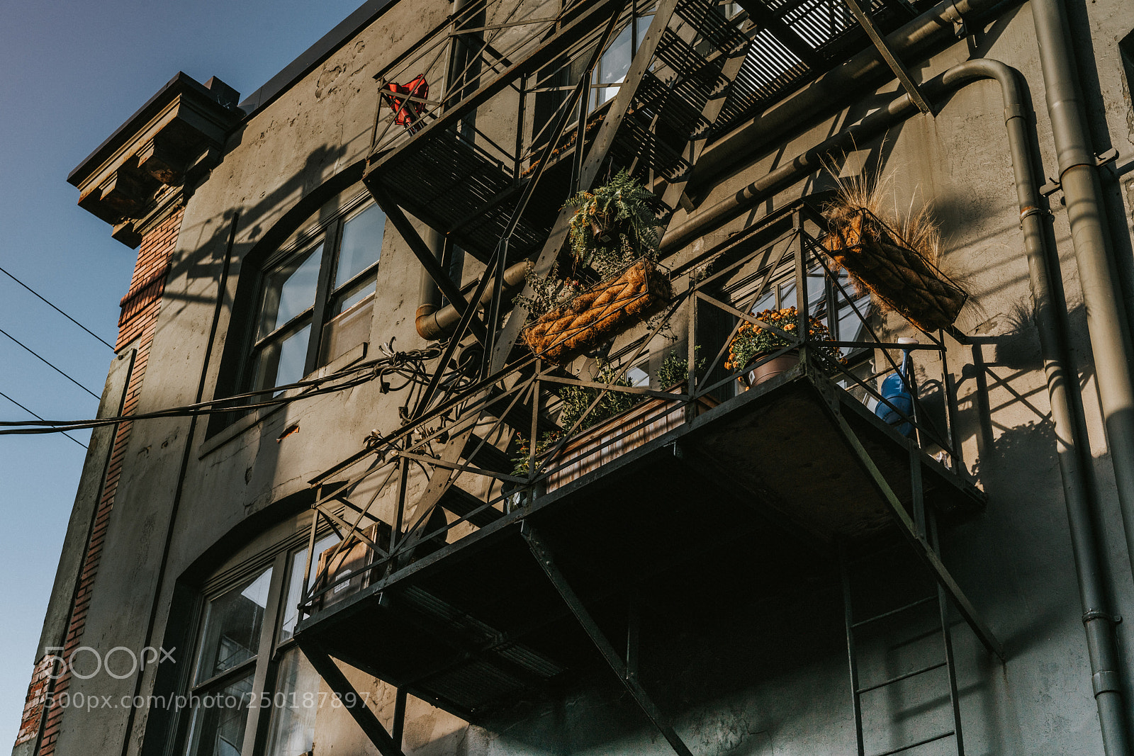 Sony a7R II sample photo. Morning in the alley photography