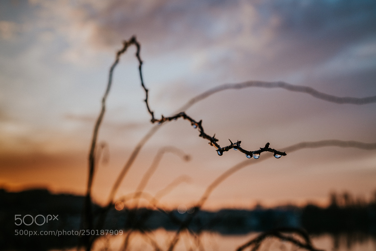 Sony a7R II sample photo. Raindrops at sunrise photography