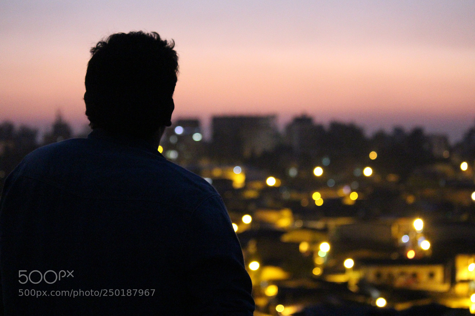 Canon EF-S 55-250mm F4-5.6 IS II sample photo. City watcher photography
