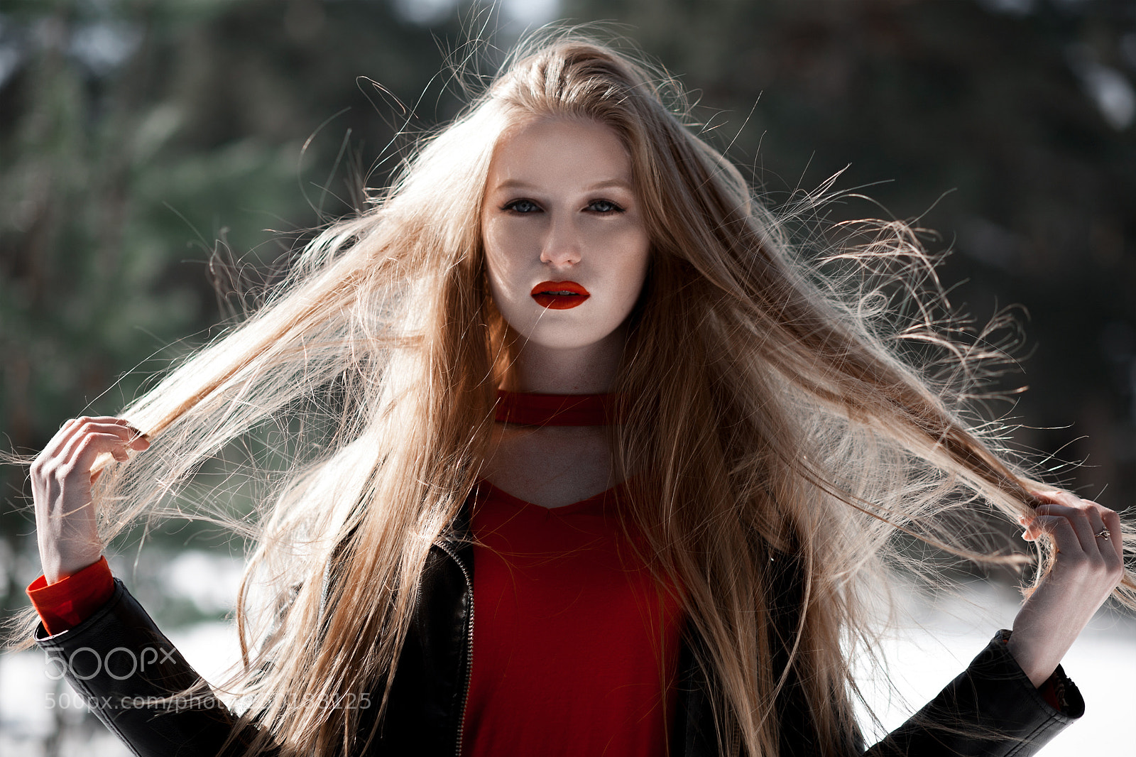 Canon EOS 5D sample photo. Дача бор.jpg photography