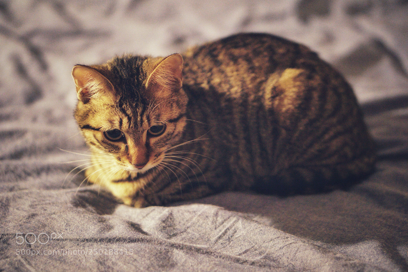 Sony a6000 sample photo. Untitled photography