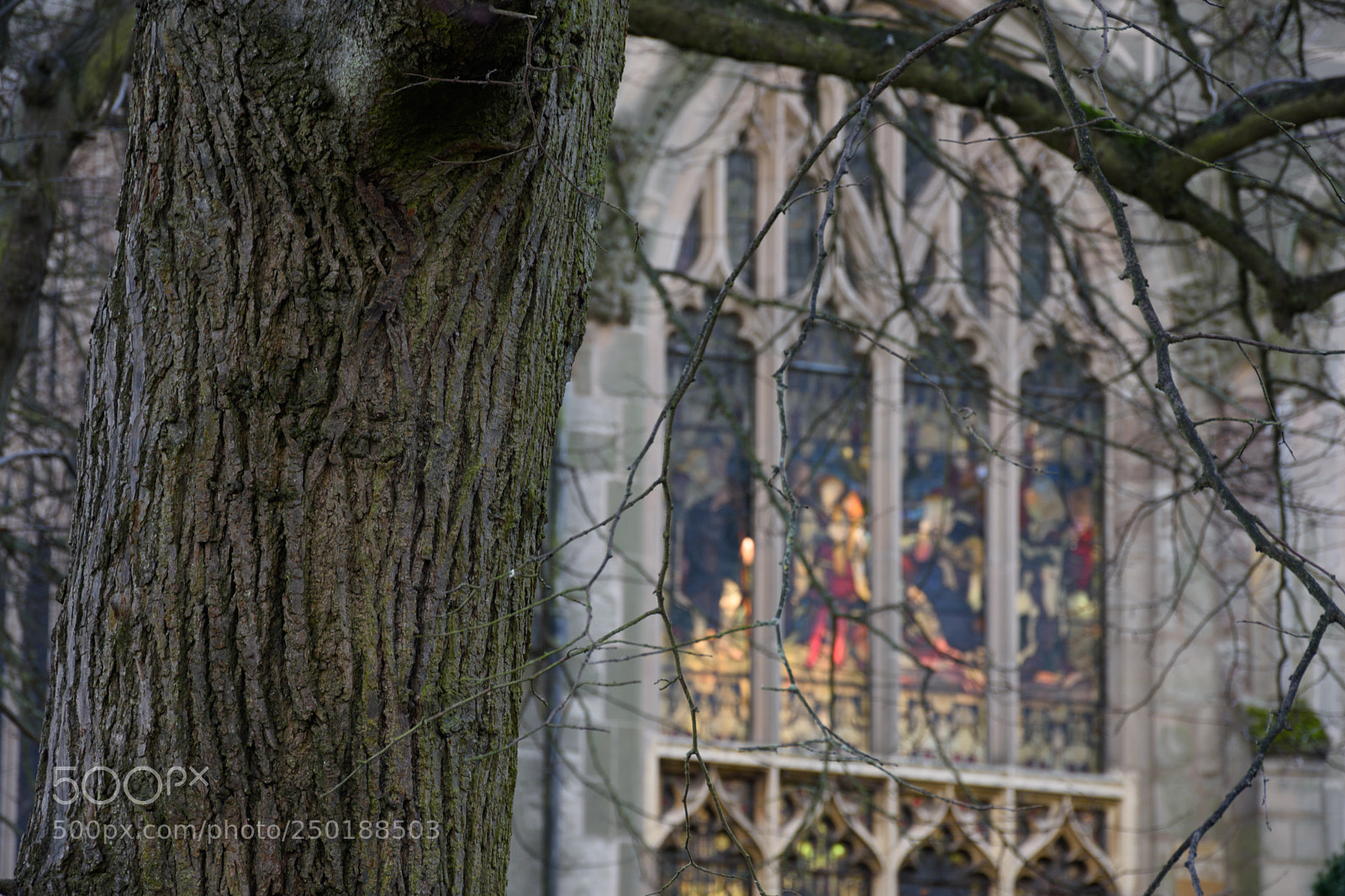 Nikon D7200 sample photo. Witness photography