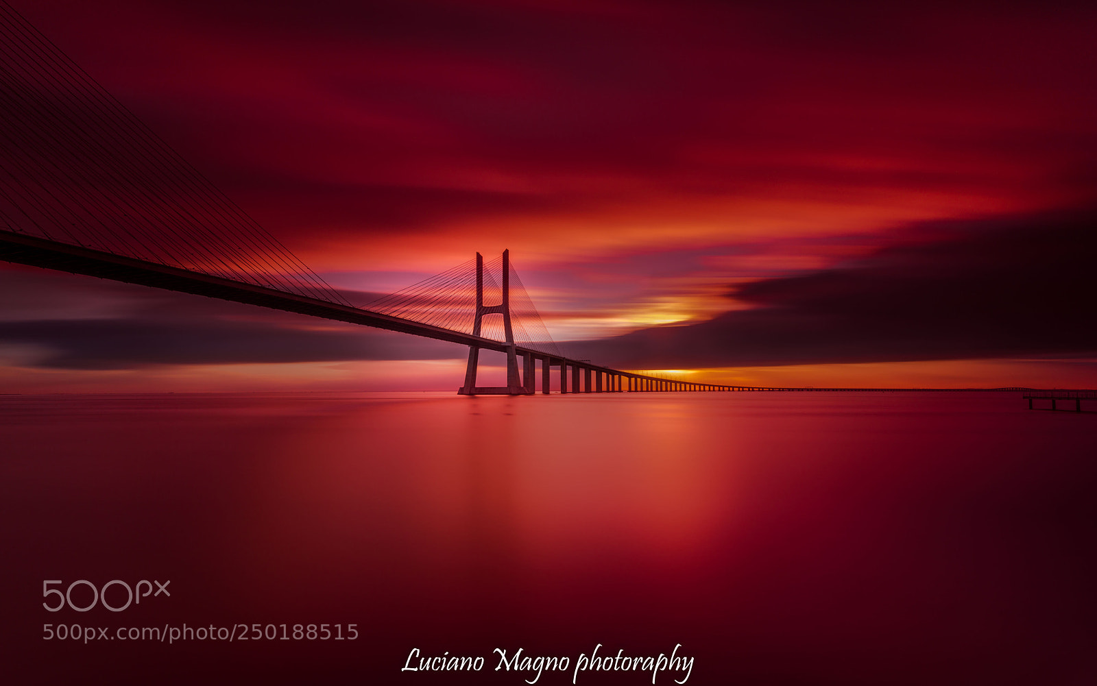 Nikon D800 sample photo. Ponte vasco da gama photography