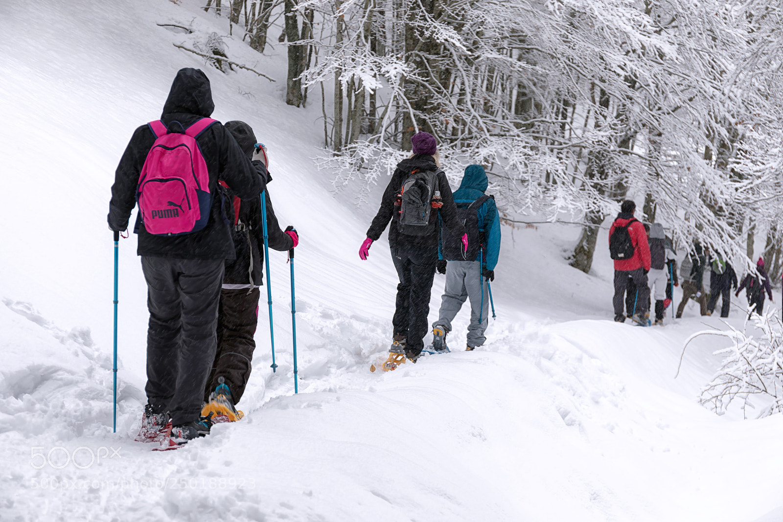 Canon EOS 5D Mark IV sample photo. Snowshoe hike on the photography