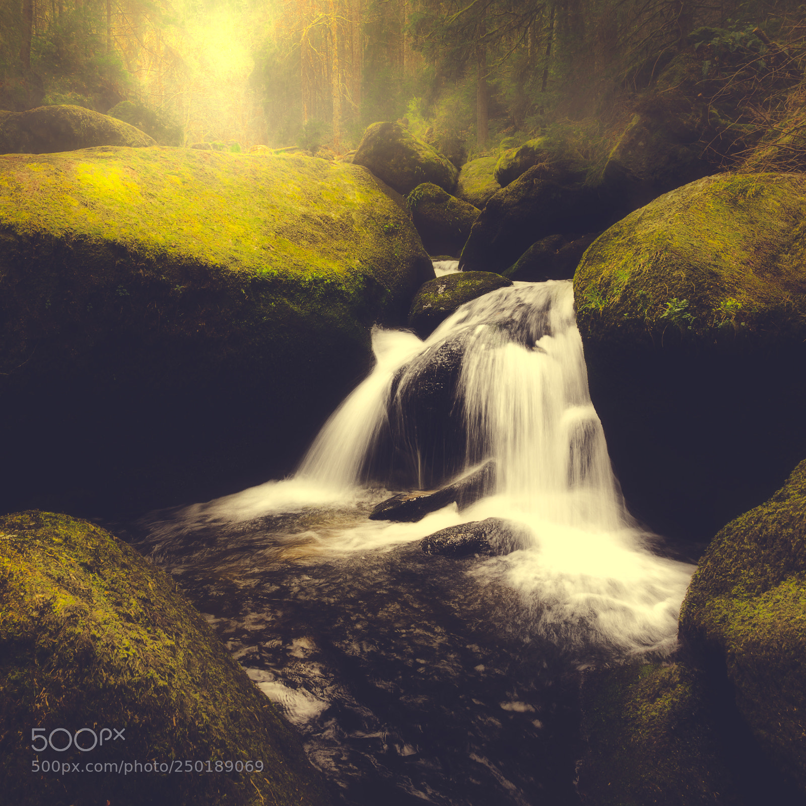 Olympus OM-D E-M10 II sample photo. Triberg waterfall photography