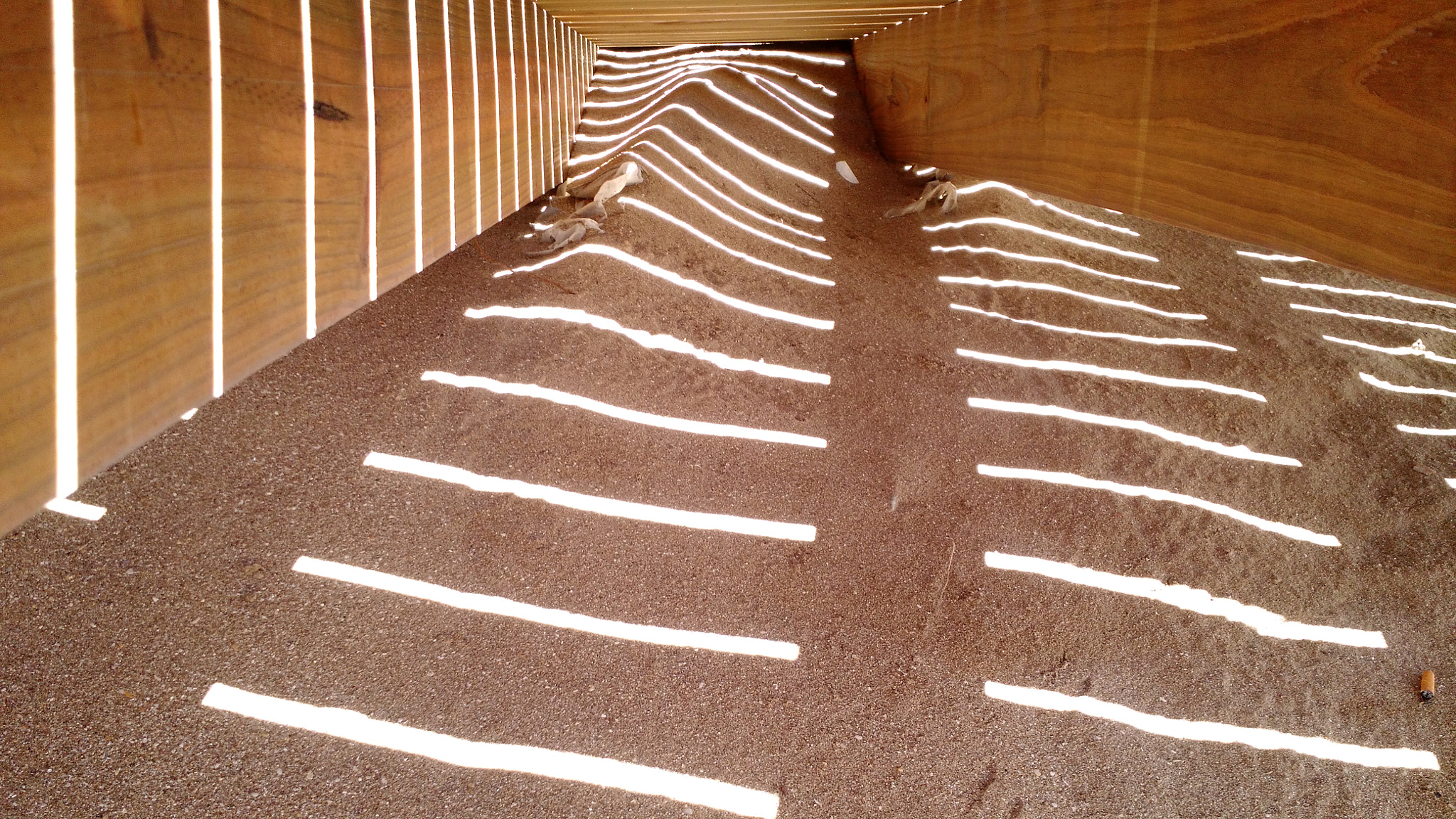 Motorola Moto X (2nd Gen) sample photo