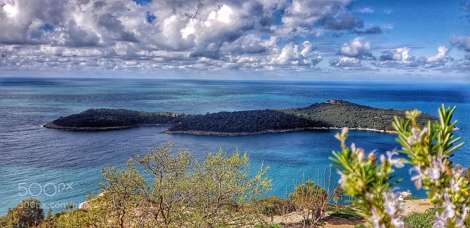 Samsung Galaxy S8+ sample photo. Lokrum photography